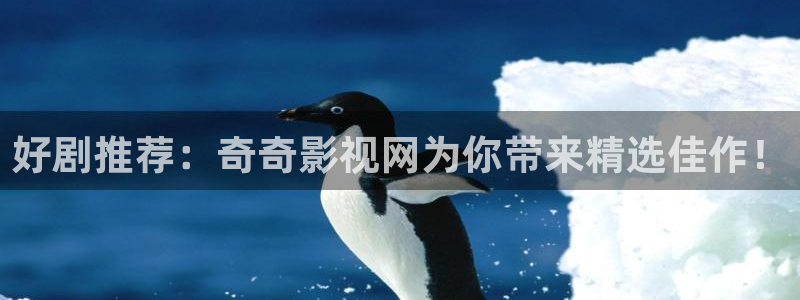 八戒午夜69理論影片：好劇推薦：奇奇影視網(wǎng)為你帶來(lái)精選佳作！