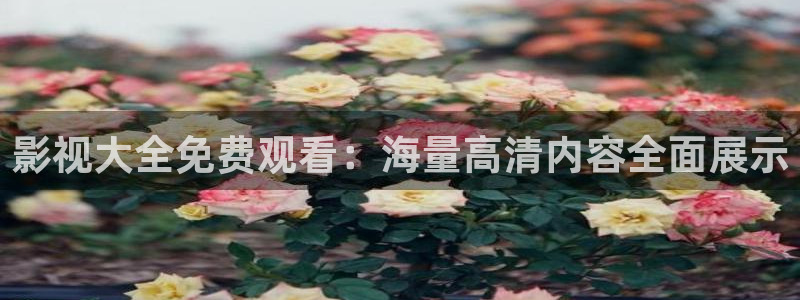 秋霞影院在線理論：影視大全免費觀看：海量高清內容全面展示